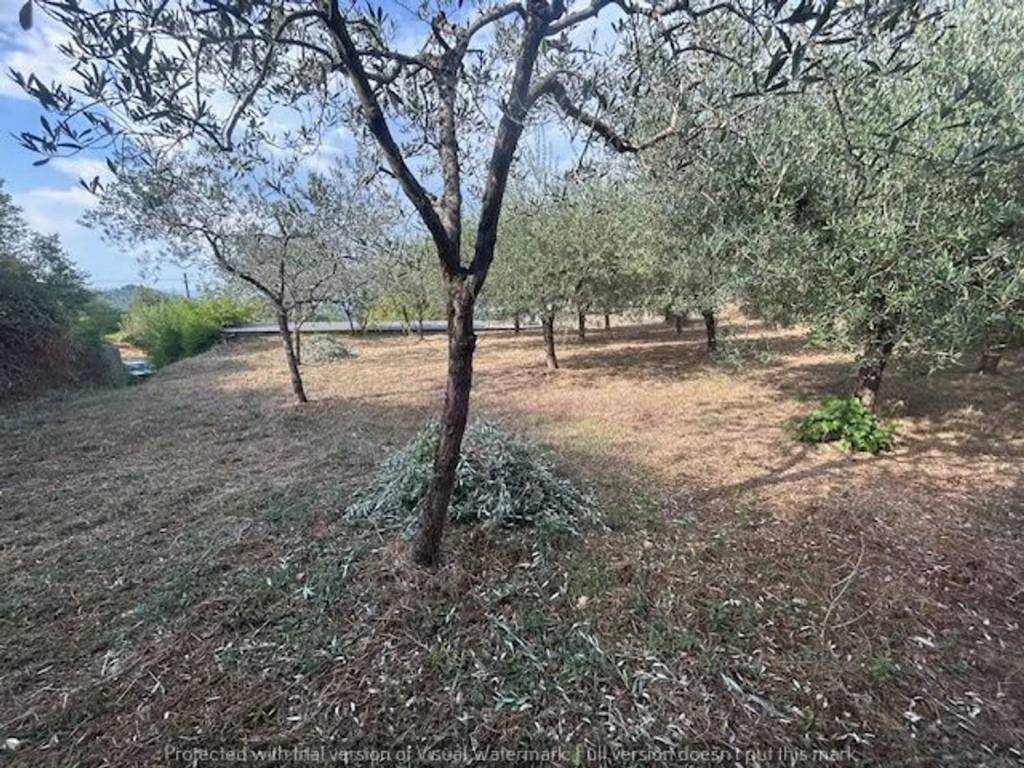 Terreno a Soriano nel cimino in Via Umberto I, 58 - Foto 5