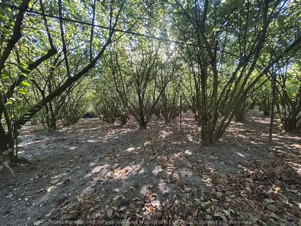 Rustico / casale a Soriano nel cimino in Strada Ortana, 64 - Foto 5