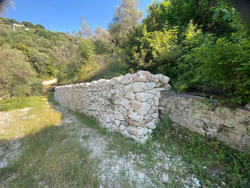 Rustico / casale a Vico del gargano in Loc. Pasinaccio No Number - Foto 3