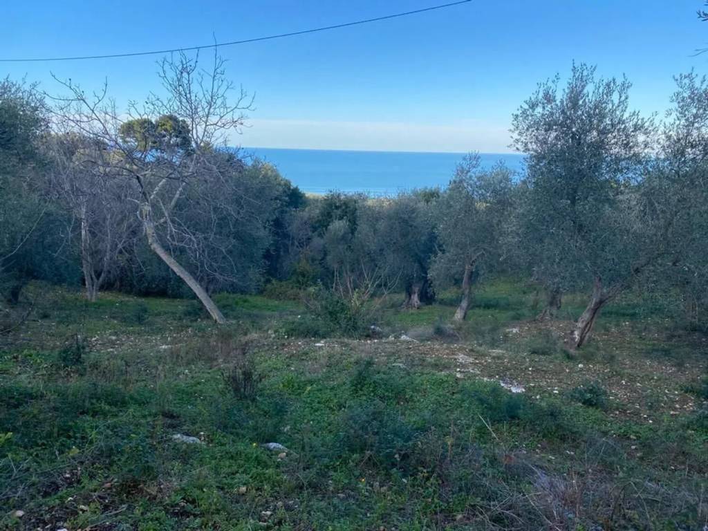 Rustico / casale a Vico del gargano in Via Sant Antonio No Number - Foto 3