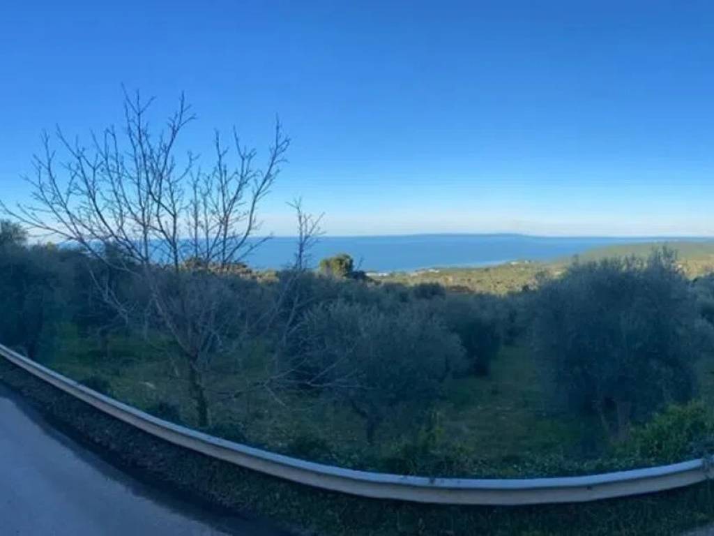 Rustico / casale a Vico del gargano in Via Sant Antonio No Number - Foto 4