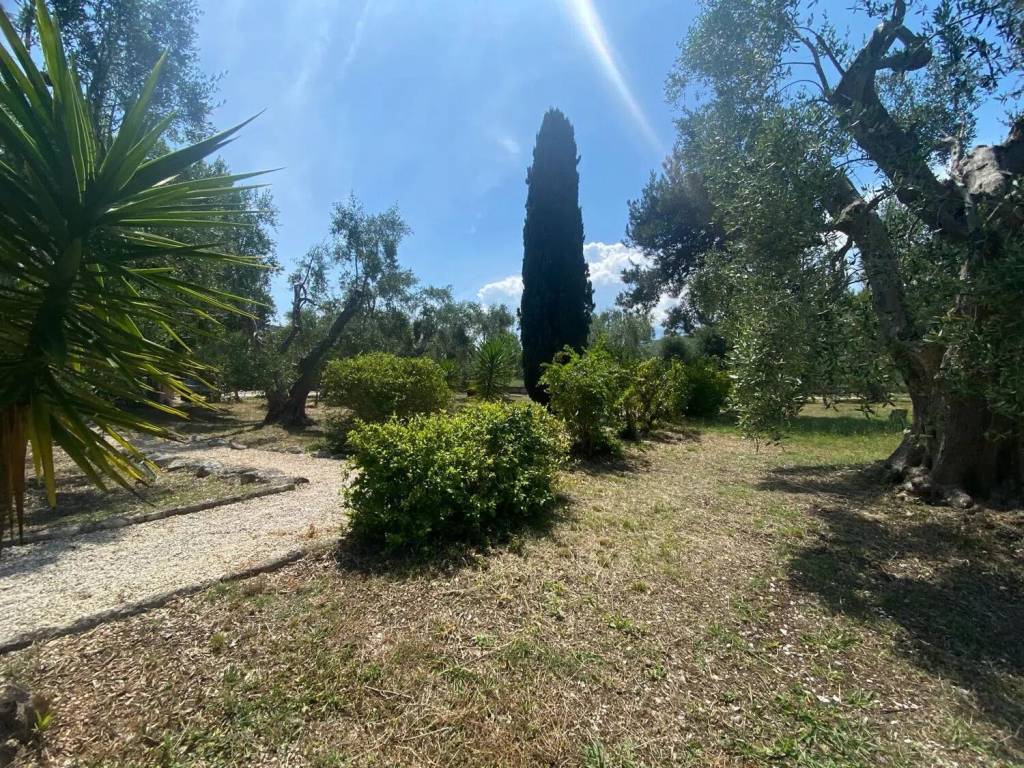 Villa a Vico del gargano in Contrada Calenella - Foto 5