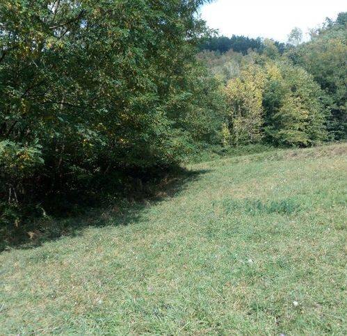 Terreno a San marcello piteglio - Foto 3