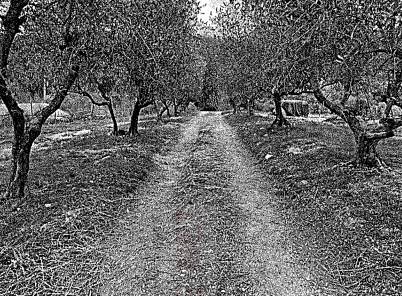 Villa a Montaione in Via Palagio, 65 - Foto 4