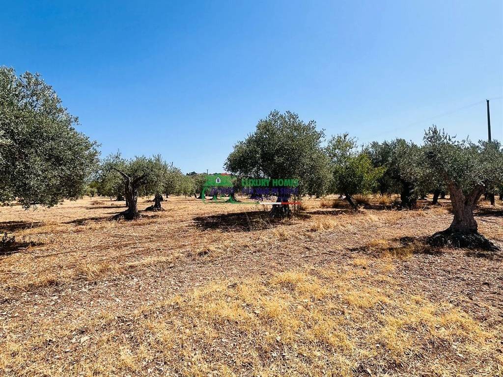 Terreno a Chiaramonte gulfi in Contrada Dicchiara - Foto 2