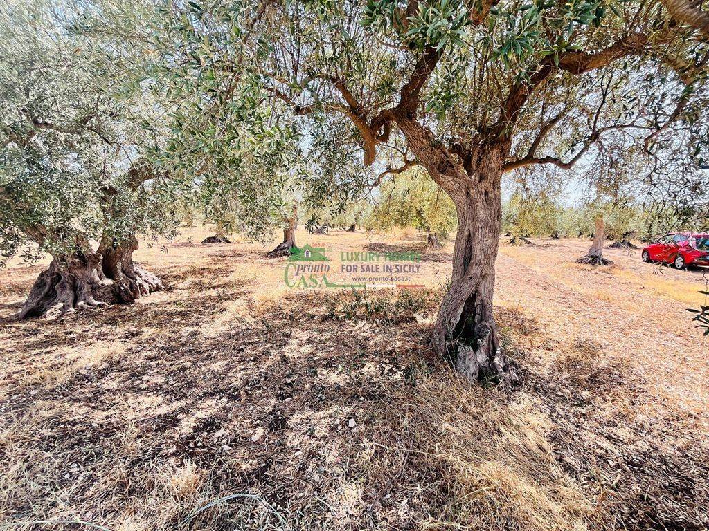 Terreno a Chiaramonte gulfi in Contrada Dicchiara - Foto 5