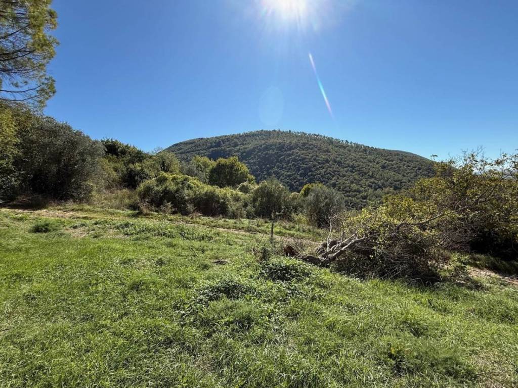 Rustico / casale a Acquasparta - Foto 4