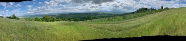Terreno a Cinigiano in Strada Provinciale Voltina - Foto 3