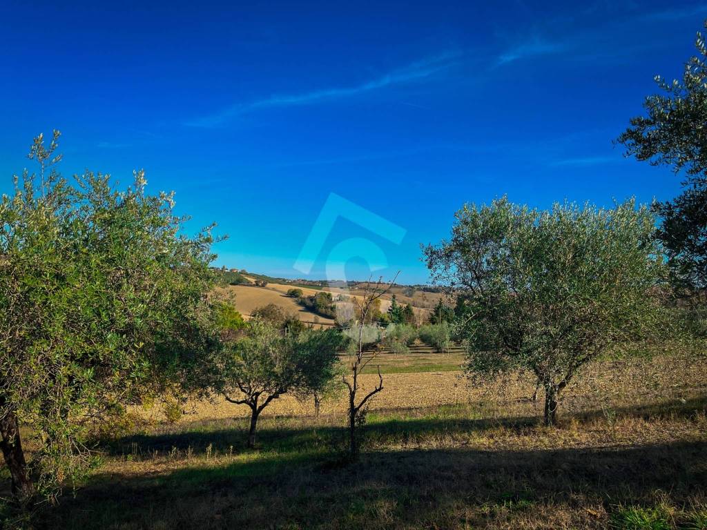 Rustico / casale a Senigallia - Foto 4