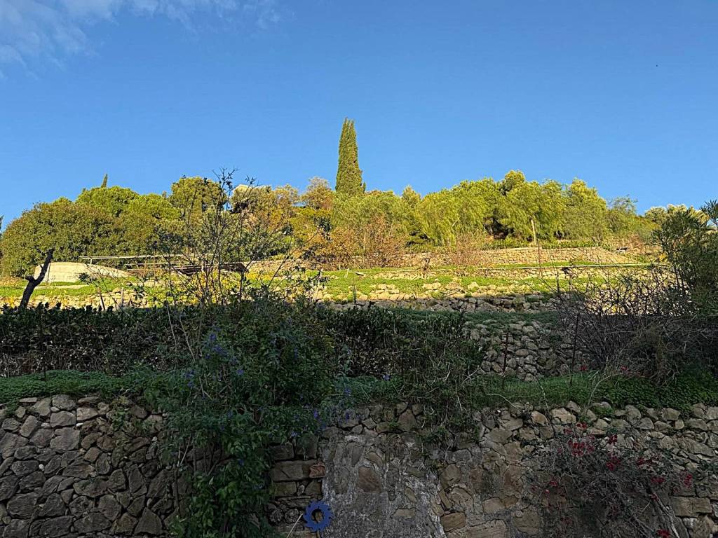 Villa a Ventimiglia in Via Michelangelo Buonarroti, 14 - Foto 4