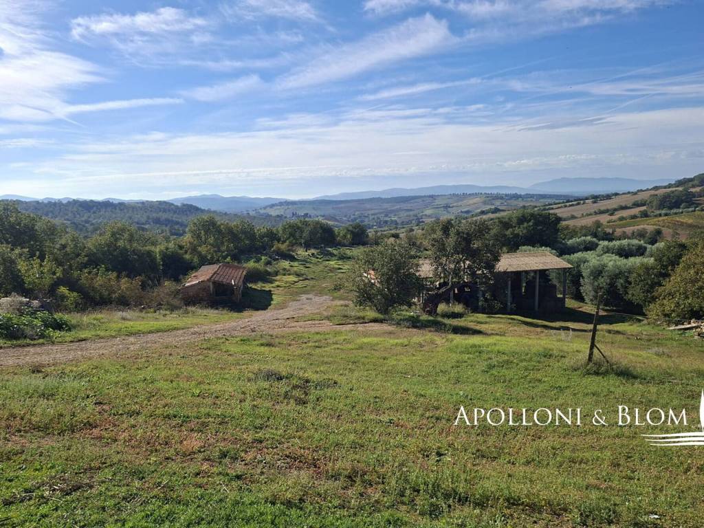 Rustico / casale a Magliano in toscana - Foto 4