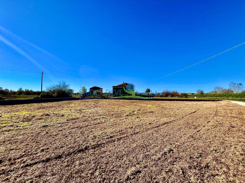Terreno a Larciano in Via Bartolini - Foto 3