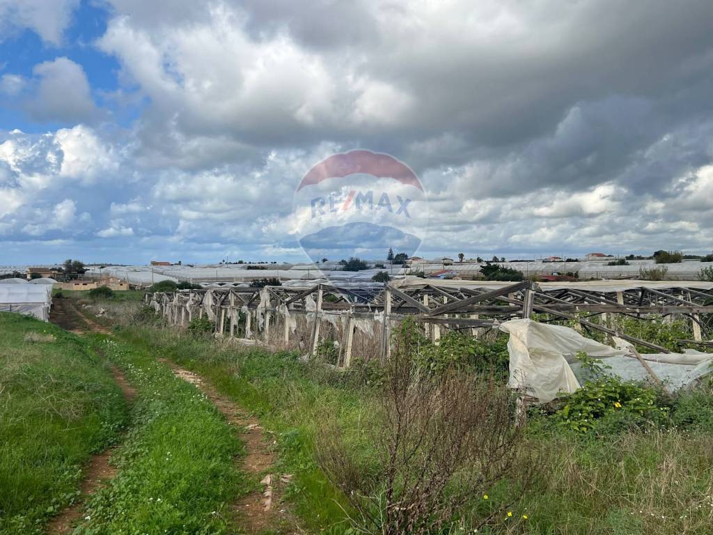 Terreno a Santa croce camerina in Contrada Sottano - Foto 3