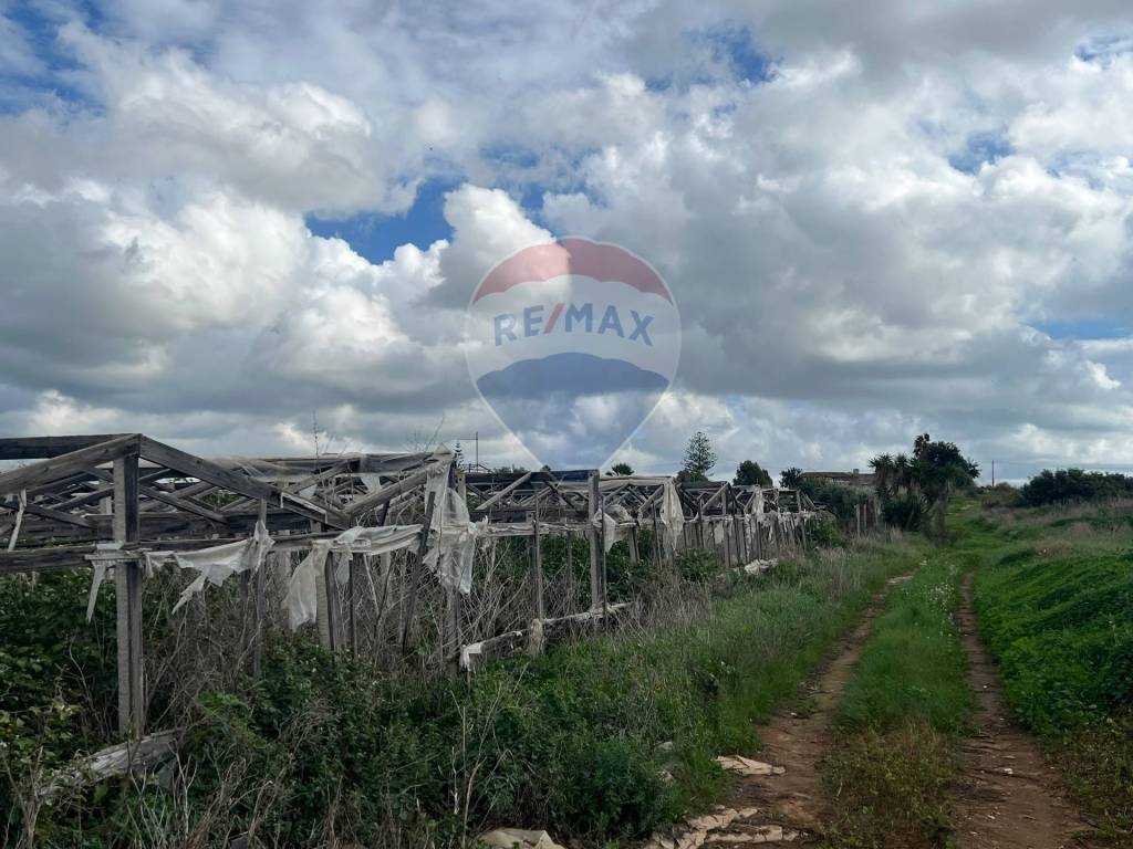 Terreno a Santa croce camerina in Contrada Sottano - Foto 5