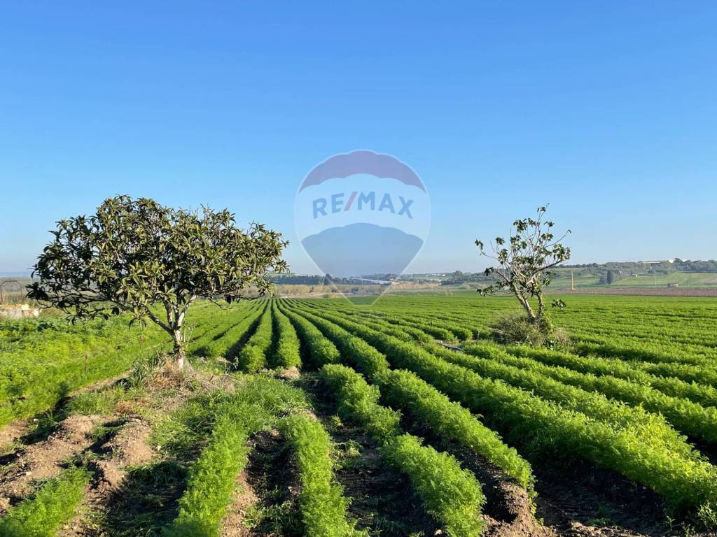 Terreno a Noto in Contrada Buonivini - Foto 2