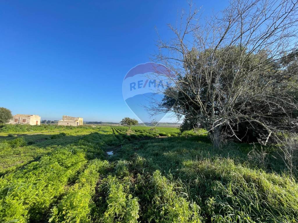 Terreno a Noto in Contrada Buonivini - Foto 3