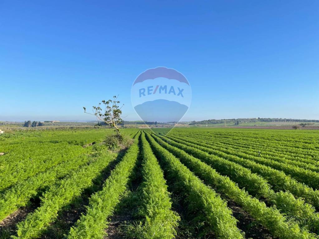 Terreno a Noto in Contrada Buonivini - Foto 4