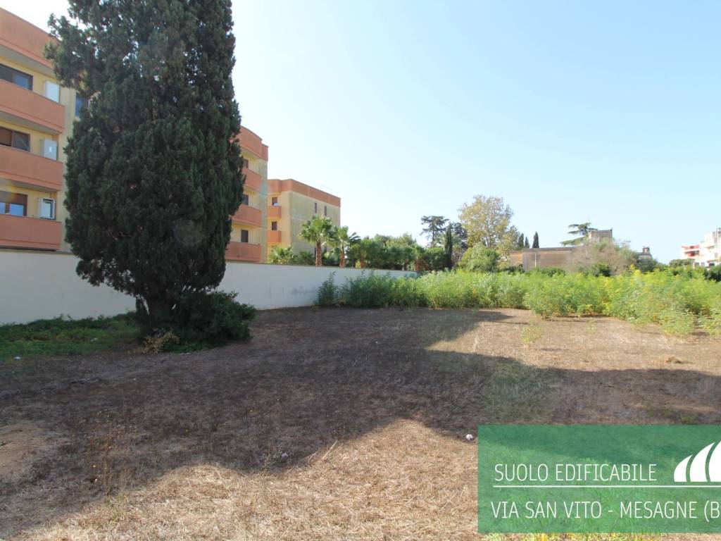 Terreno a Mesagne - Foto 3