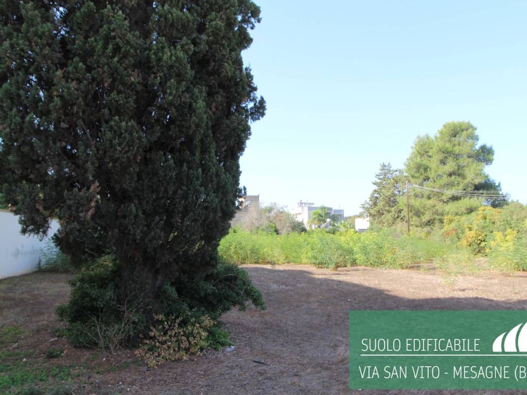 Terreno a Mesagne - Foto 4