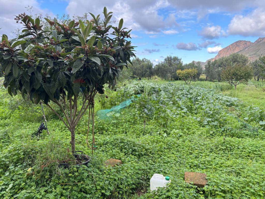 Villa a Terrasini in Contrada Paternella - Foto 4