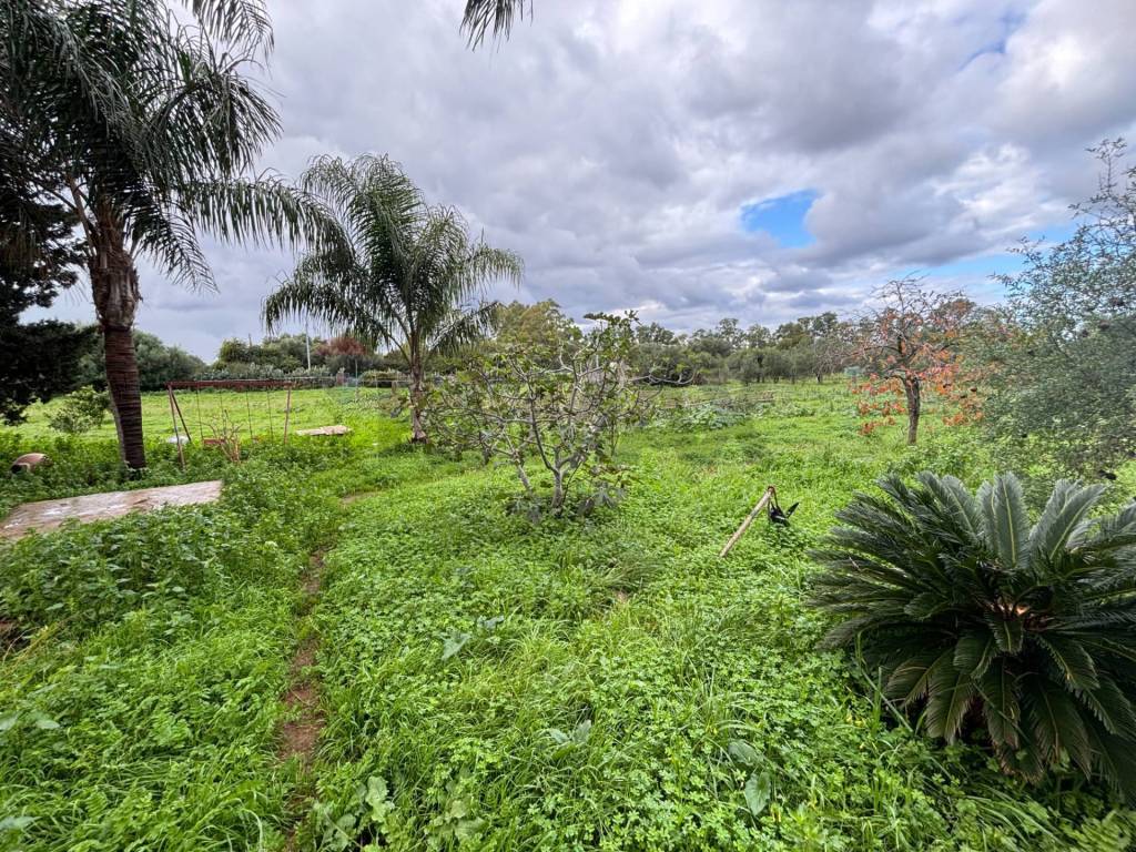 Villa a Terrasini in Contrada Paternella - Foto 5