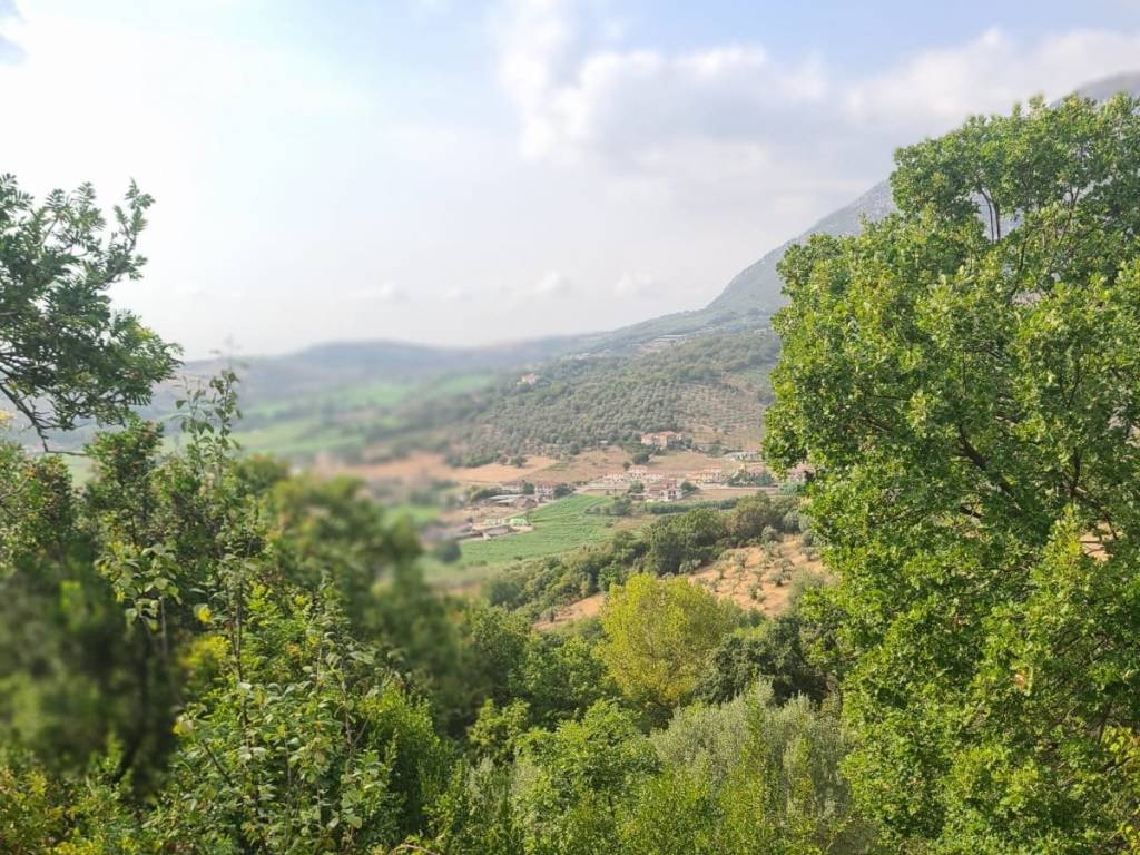 Terreno a Giungano in Via Vetosa - Foto 2