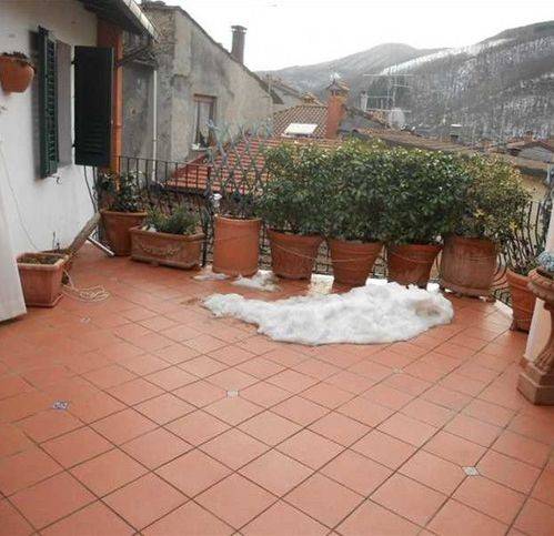 Attico / mansarda a San marcello piteglio - Foto 2