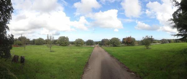 Rustico / casale a Fasano in Unnamed Road - Foto 5