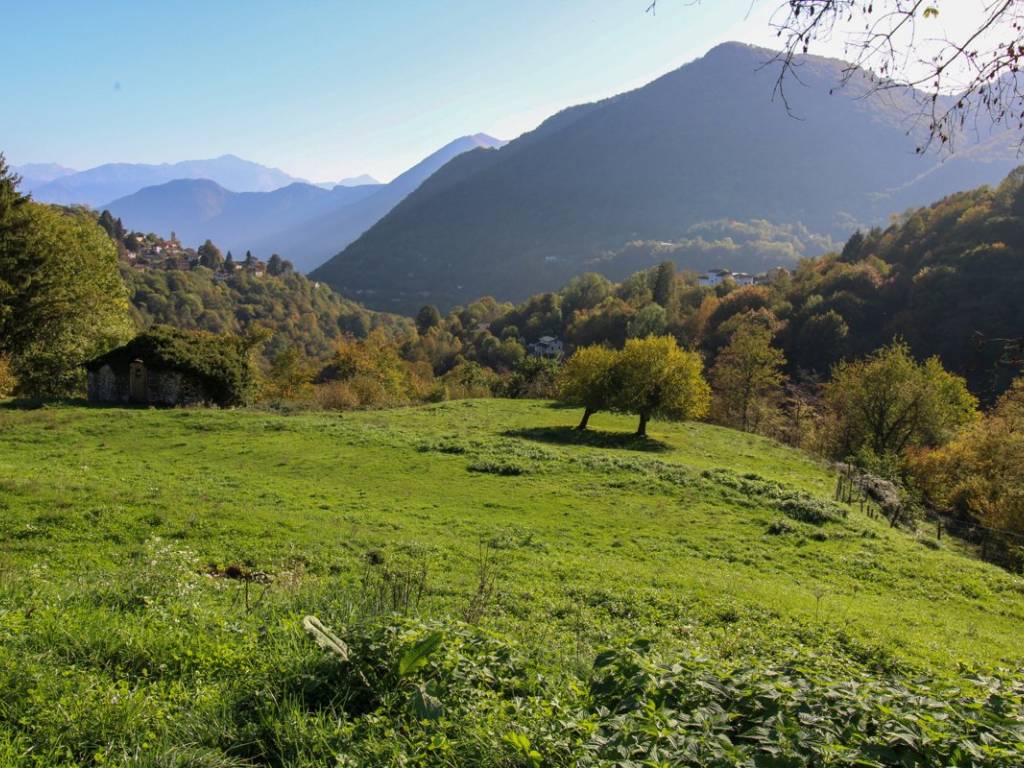 Terreno a Cerano d'intelvi in Via Dizzasco, snc - Foto 4