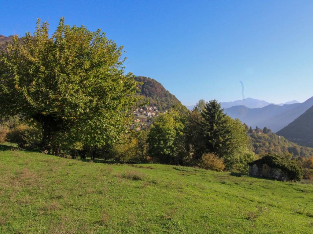 Terreno a Cerano d'intelvi in Via Dizzasco, snc - Foto 5