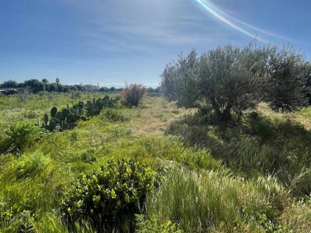 Casa indipendente a Agrigento - Foto 2