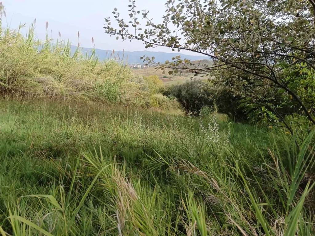 Terreno a Castrolibero - Foto 3