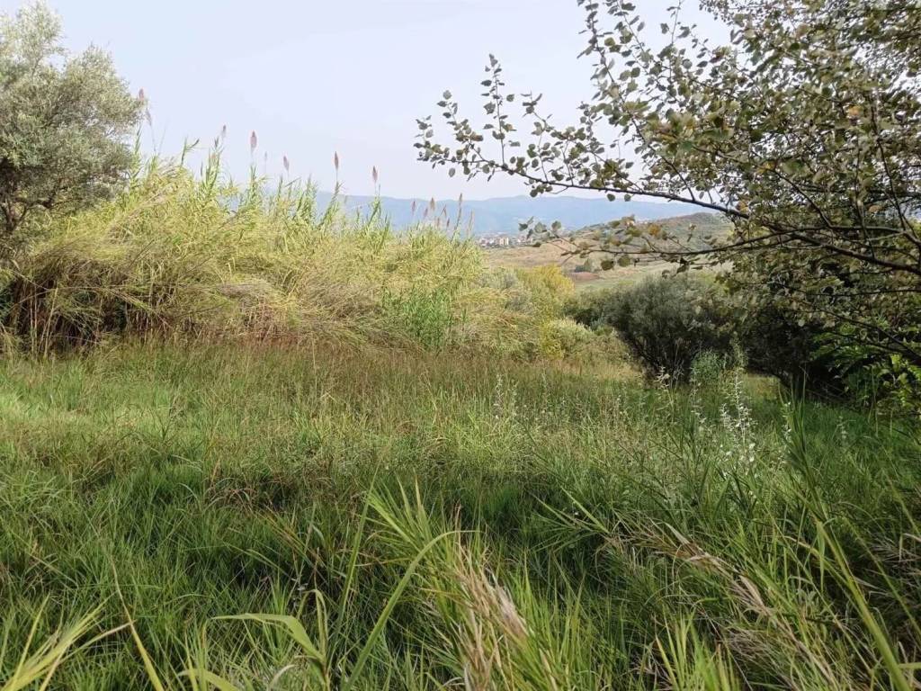 Terreno a Castrolibero - Foto 4