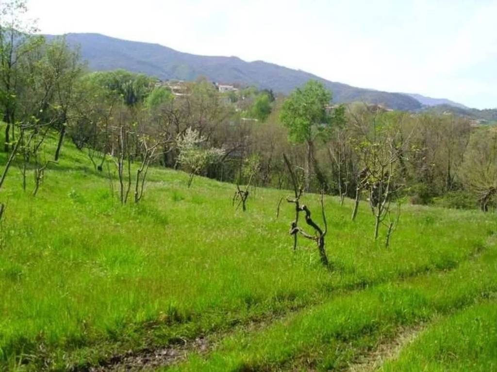 Terreno a Castrolibero - Foto 4