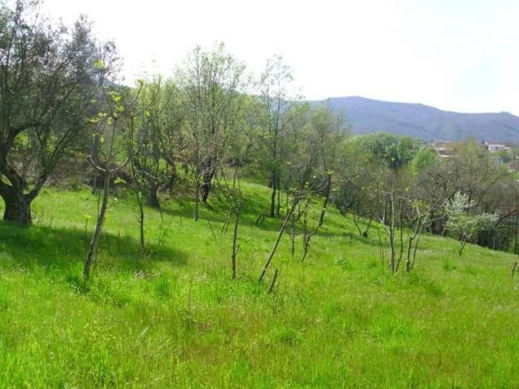 Terreno a Castrolibero - Foto 5