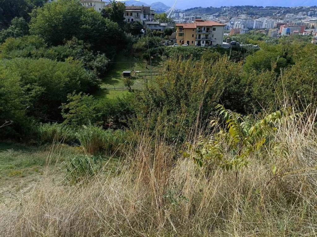Terreno a Cosenza - Foto 4