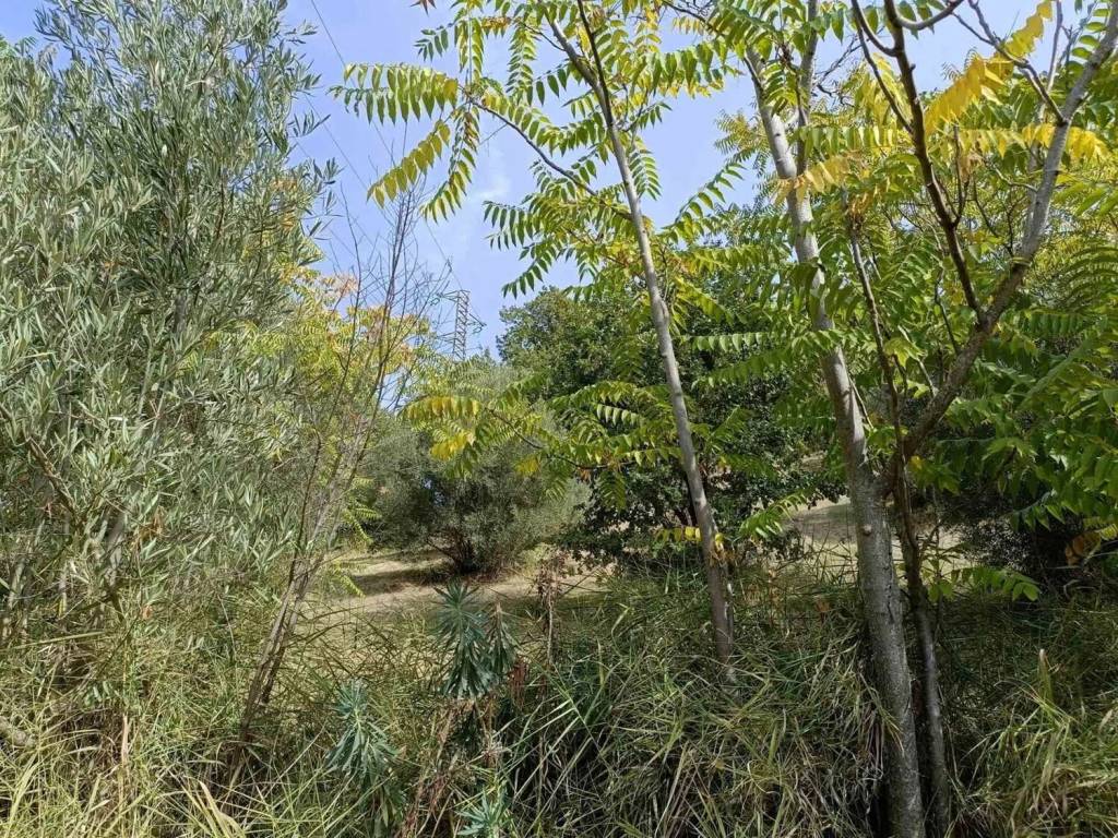 Terreno a Cosenza - Foto 5