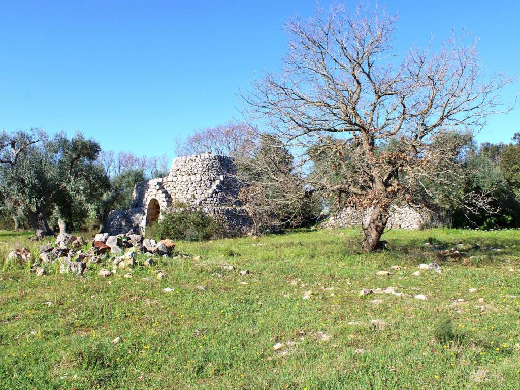 Rustico / casale a Carovigno - Foto 2