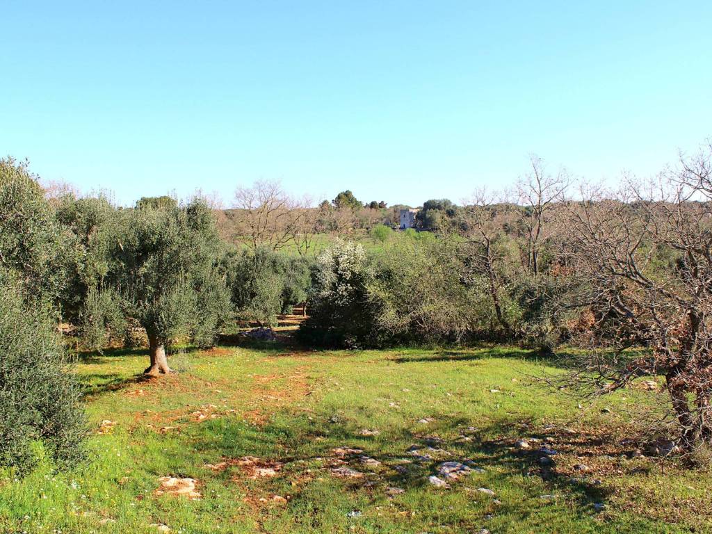 Rustico / casale a Carovigno - Foto 4