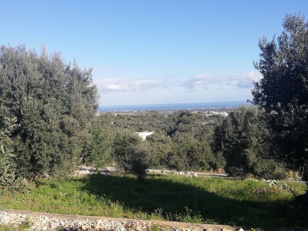 Appartamento a Fasano in Esiodo s.n.c - Foto 3