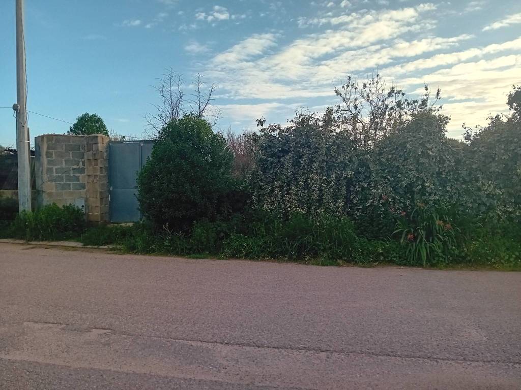 Terreno a Riola sardo - Foto 3
