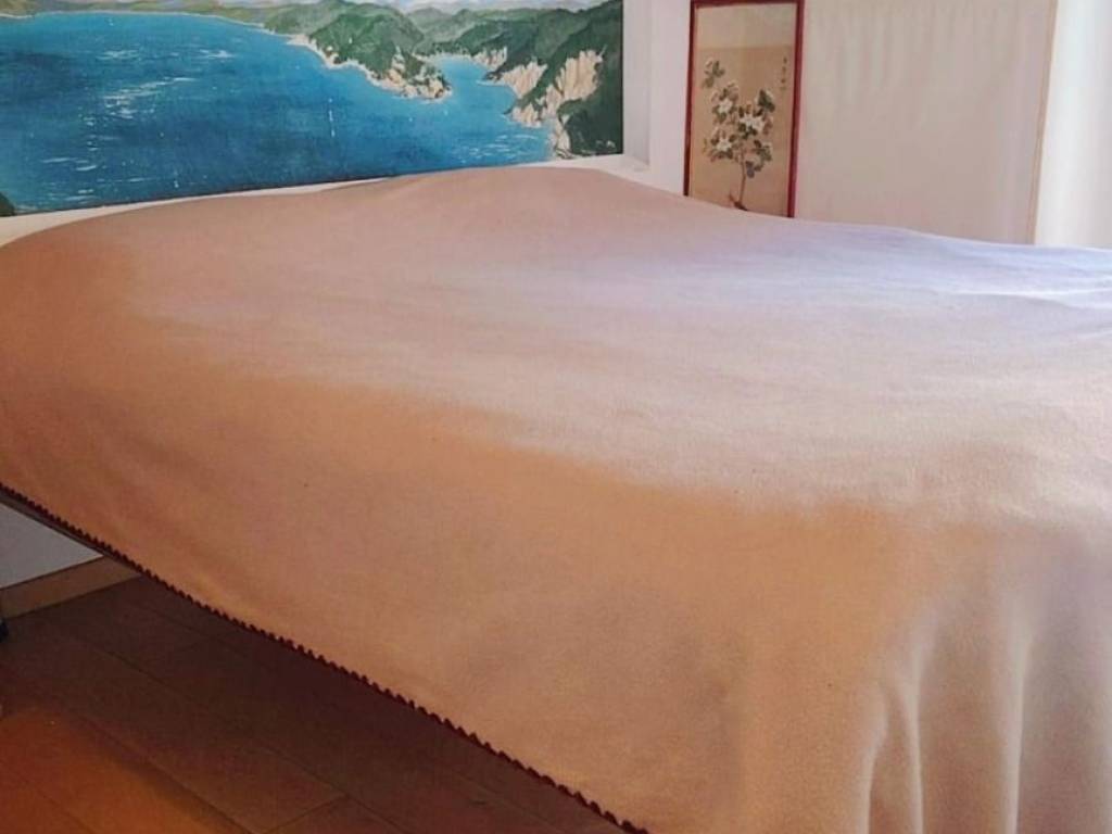 Appartamento a Vallebona in Via Ennio Guglielmi - Foto 4