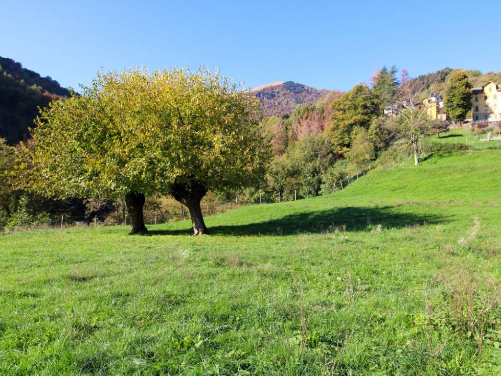 Rustico / casale a Cerano d'intelvi in Via Dizzasco , snc - Foto 4
