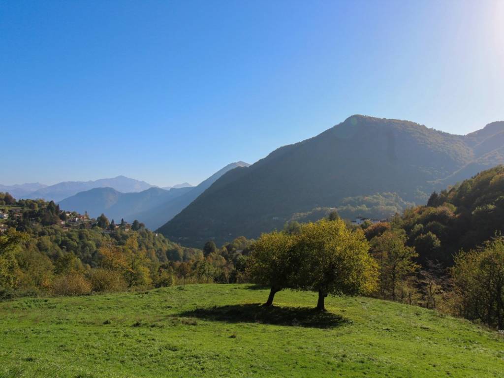 Rustico / casale a Cerano d'intelvi in Via Dizzasco , snc - Foto 5