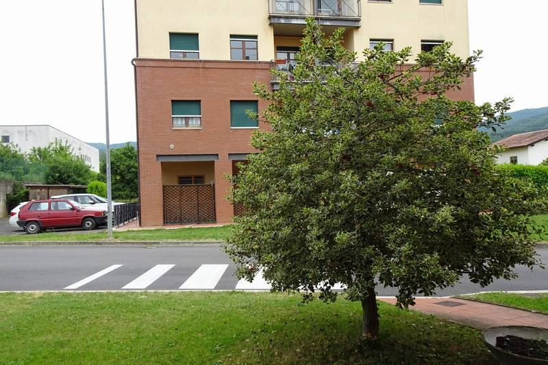Appartamento a Bibbiena in Via Enrico Berlinguer - Foto 5