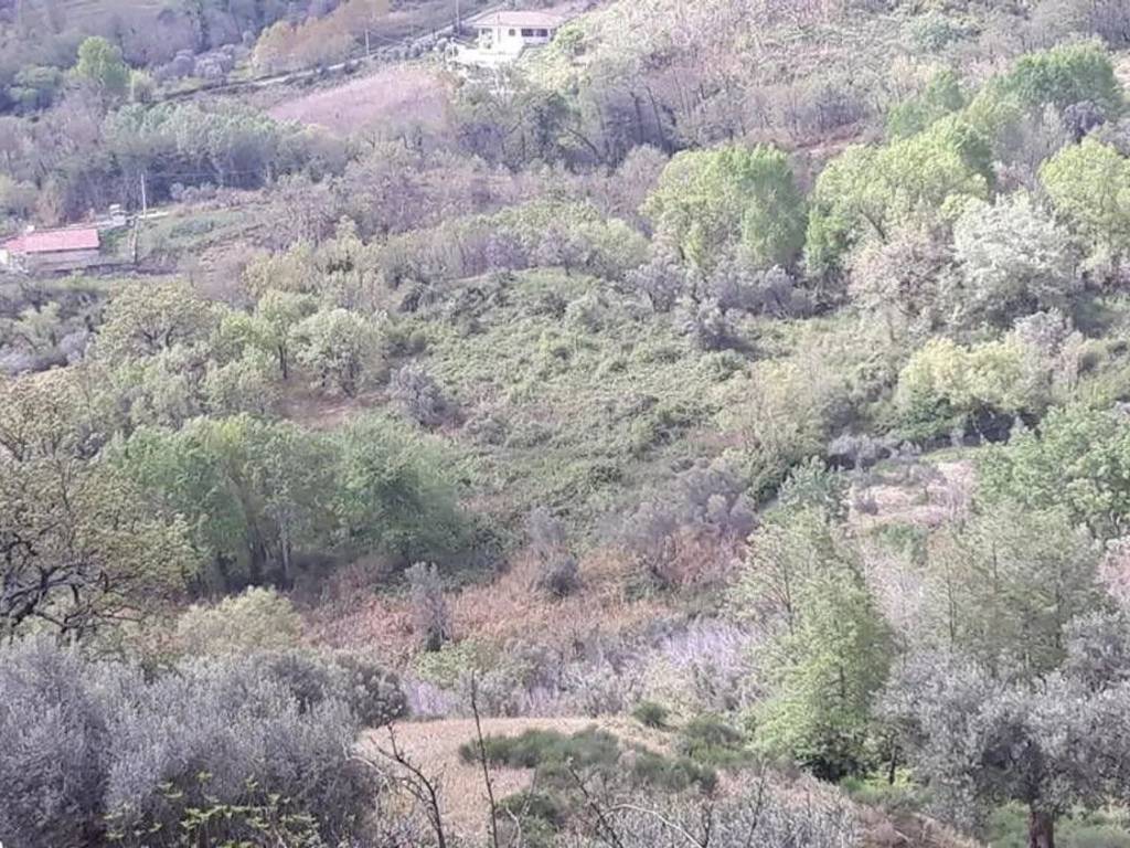 Terreno a Rende - Foto 4