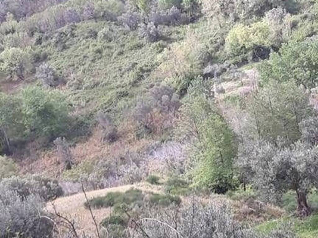 Terreno a Rende - Foto 5