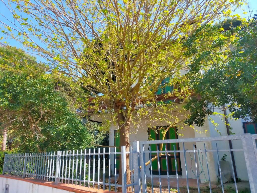 Appartamento a Comacchio in Viale Michelangelo, 225 - Foto 2