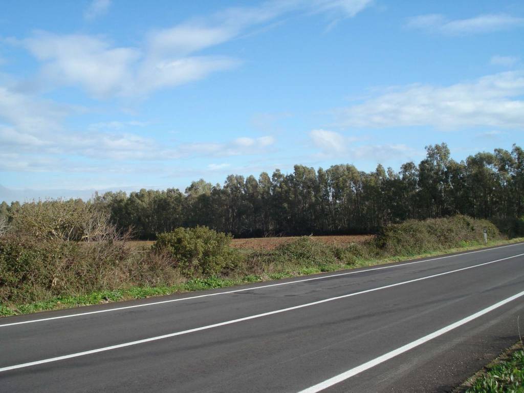 Terreno a Alghero in Strada Vicinale Sa Segada - Foto 2