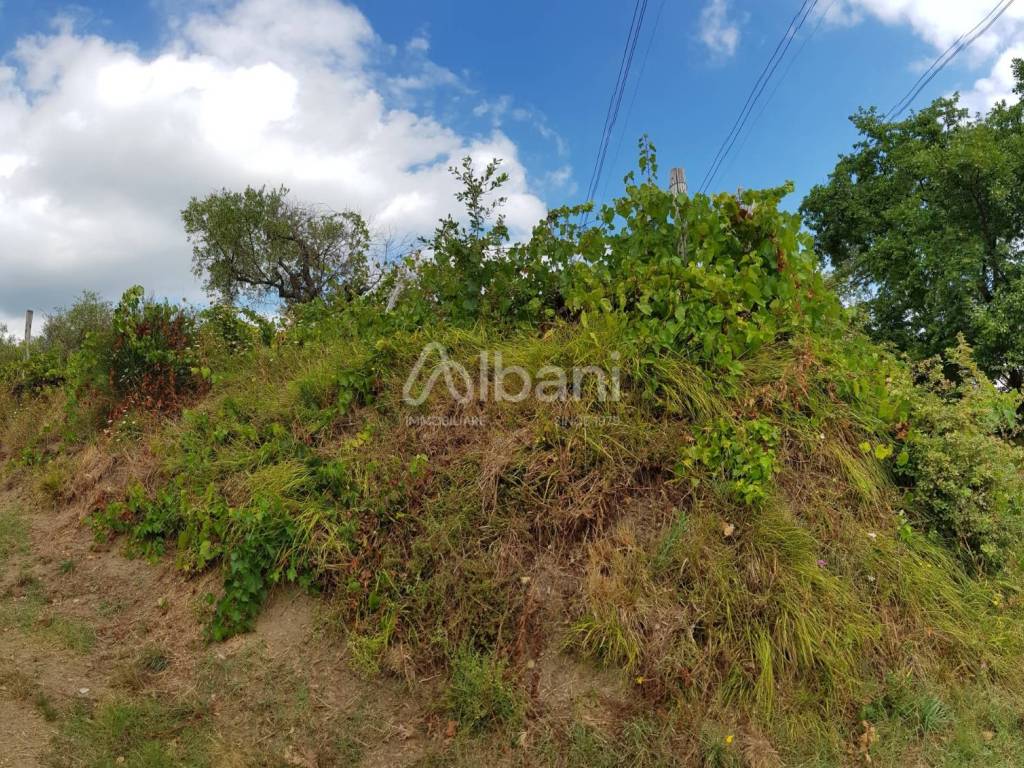 Terreno a Arcola - Foto 3